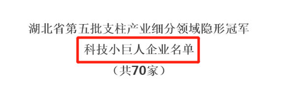 热烈祝贺湖北美辰环保股份有限公司 喜获“湖北省第五批支柱产业细分领域隐形冠军-科技小巨人企业”认定